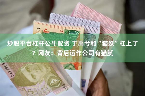 炒股平台杠杆公牛配资 丁禹兮和“猫妖”杠上了？网友：背后运作公司有猫腻