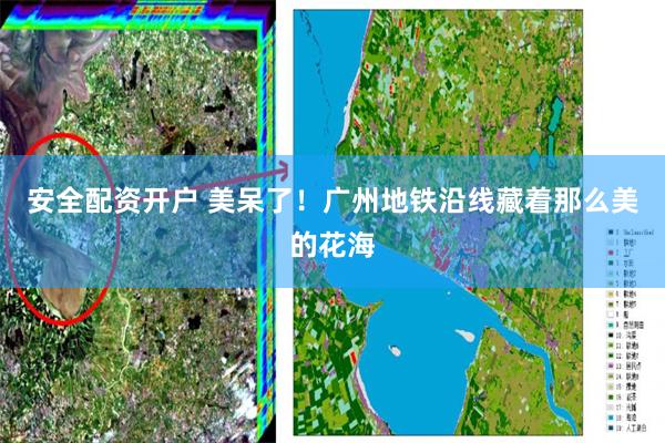 安全配资开户 美呆了！广州地铁沿线藏着那么美的花海