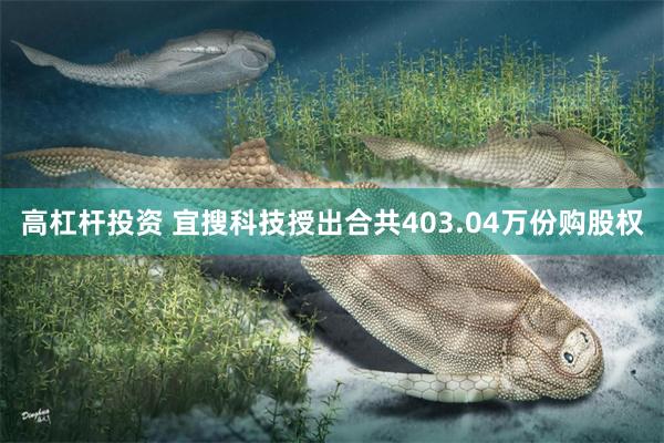 高杠杆投资 宜搜科技授出合共403.04万份购股权