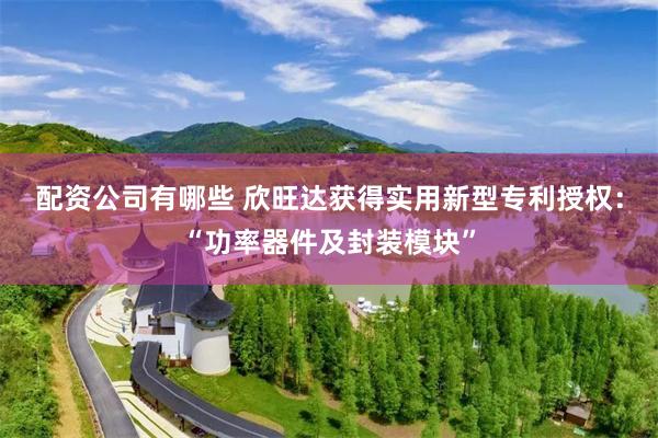 配资公司有哪些 欣旺达获得实用新型专利授权：“功率器件及封装