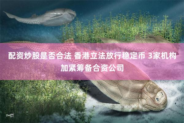 配资炒股是否合法 香港立法放行稳定币 3家机构加紧筹备合资公