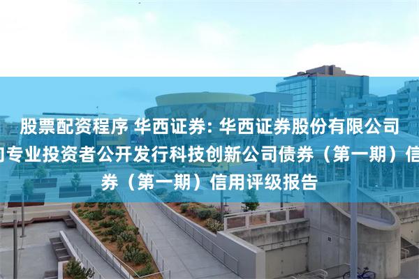 股票配资程序 华西证券: 华西证券股份有限公司2025年面向专业投资者公开发行科技创新公司债券(第一期)信用评级报告