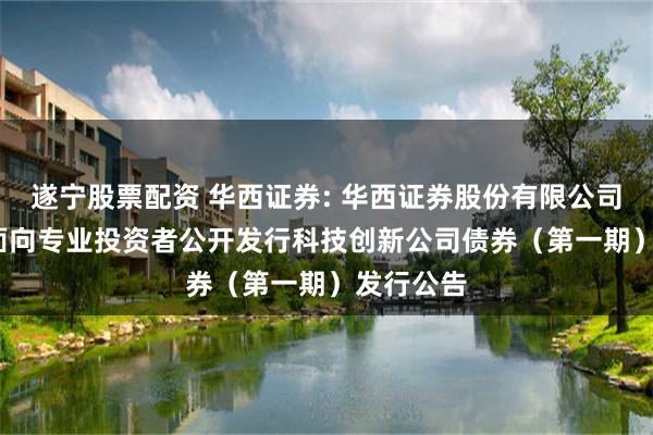 遂宁股票配资 华西证券: 华西证券股份有限公司2025年面向