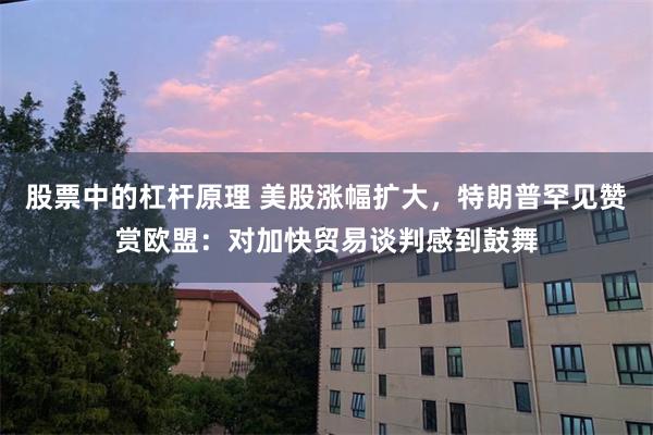 股票中的杠杆原理 美股涨幅扩大，特朗普罕见赞赏欧盟：对加快贸
