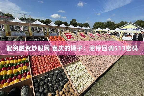配资融资炒股网 喜庆的橘子：涨停回调513密码