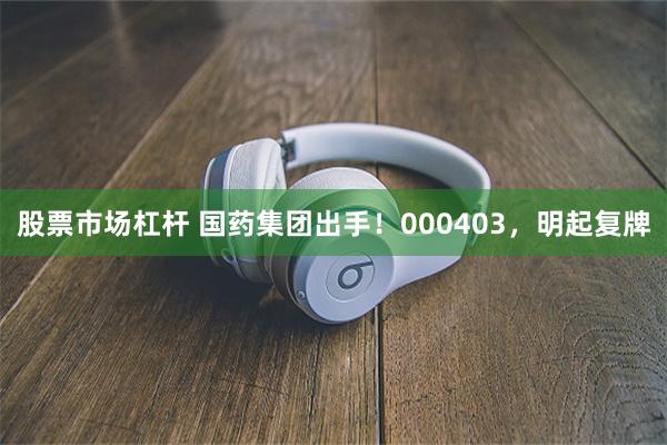 股票市场杠杆 国药集团出手！000403，明起复牌