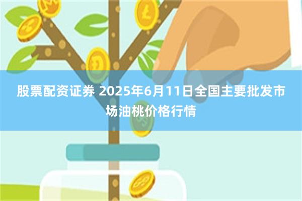 股票配资证券 2025年6月11日全国主要批发市场油桃价格行