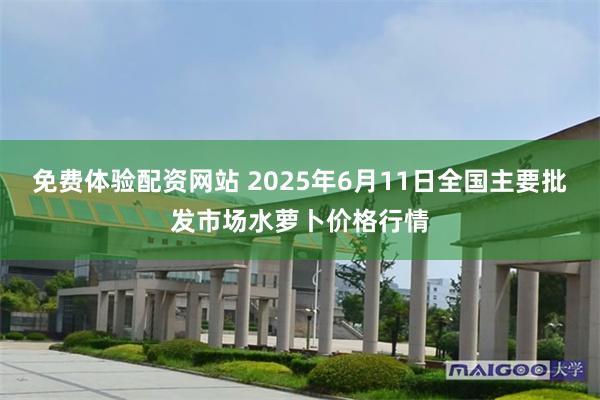 免费体验配资网站 2025年6月11日全国主要批发市场水萝卜