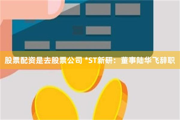 股票配资是去股票公司 *ST新研：董事陆华飞辞职