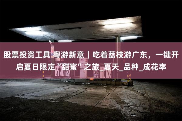 股票投资工具 粤游新意｜吃着荔枝游广东，一键开启夏日限定“甜