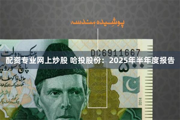 配资专业网上炒股 哈投股份：2025年半年度报告
