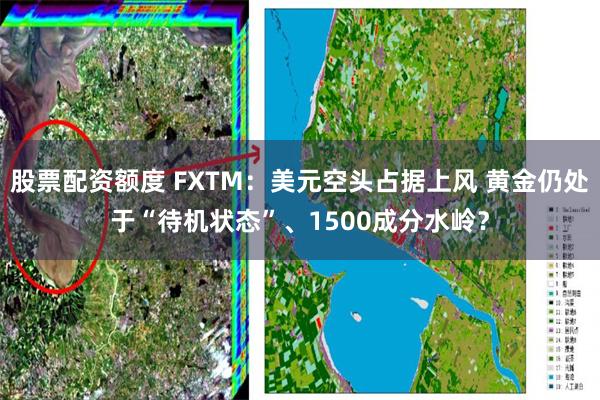 股票配资额度 FXTM：美元空头占据上风 黄金仍处于“待机状